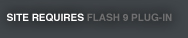 Get the Flash Player